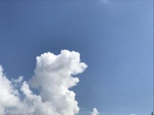 284EB0AA-4CC2-4276-B4B7-62FFEC6F7234