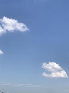 2BF896CB-A4BA-474E-9988-254AAC3BE54D