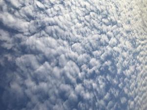 624E5311-E381-4F72-A11B-E58454AACFCD