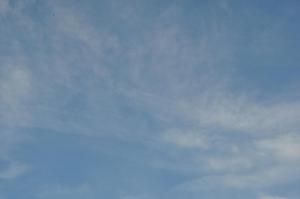 DSC 0660 (1) (1) (1)