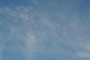 DSC 0661 (1) (1) (1)