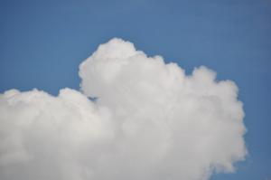 DSC 0686