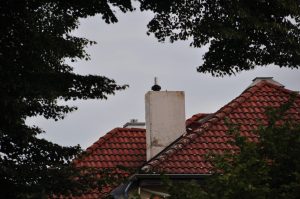 DSC 0945