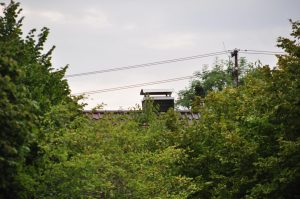 DSC 0946