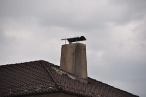 DSC 0954