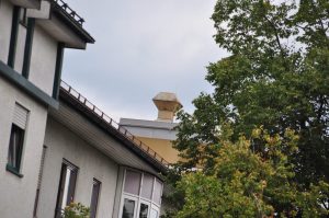 DSC 0972