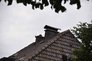 DSC 0973