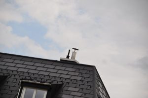DSC 0974