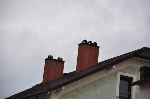 DSC 0980