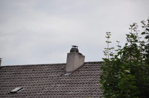DSC 0985
