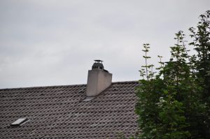 DSC 0986