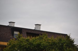 DSC 0991