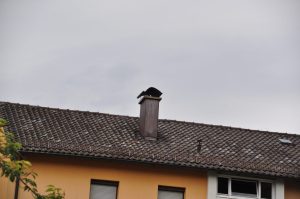 DSC 0998