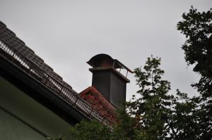 DSC 1003