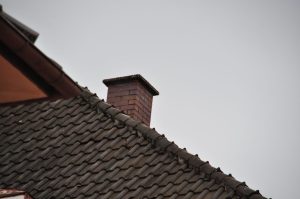 DSC 1005