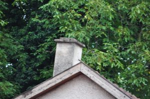 DSC 1006