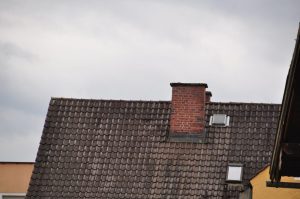 DSC 1009