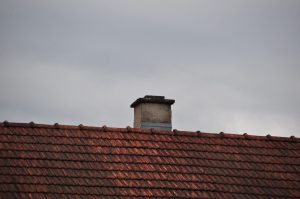 DSC 1010