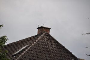DSC 1013